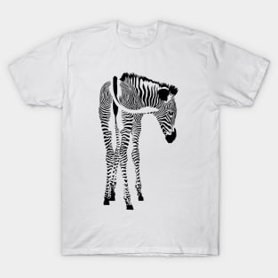 Zebra T-Shirt